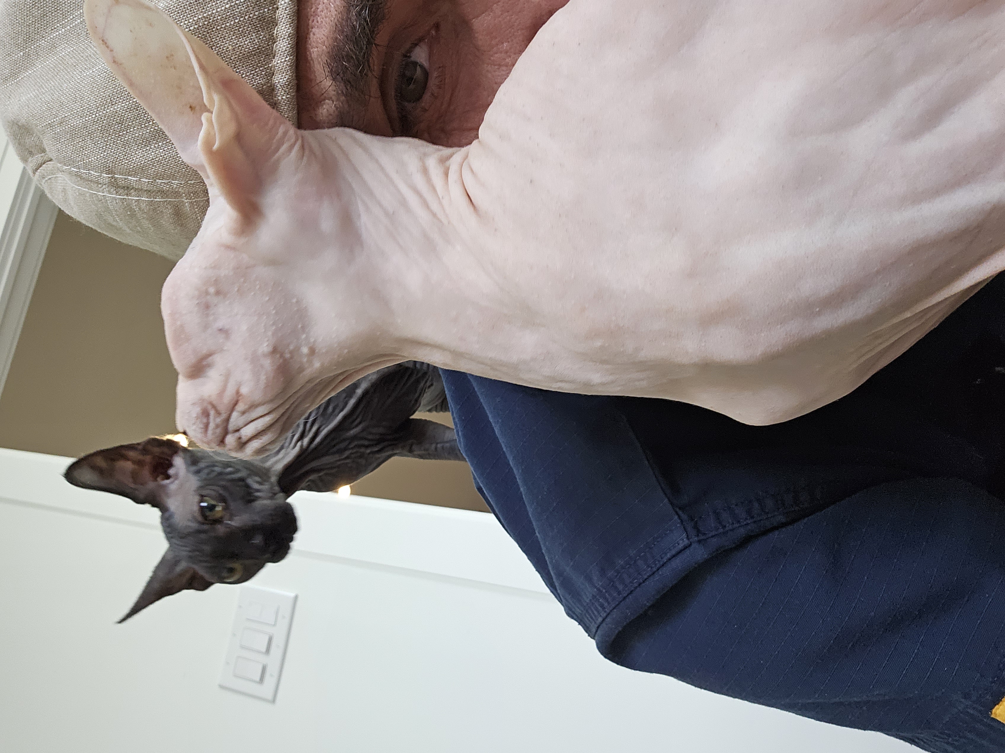 Vitor with client's cats